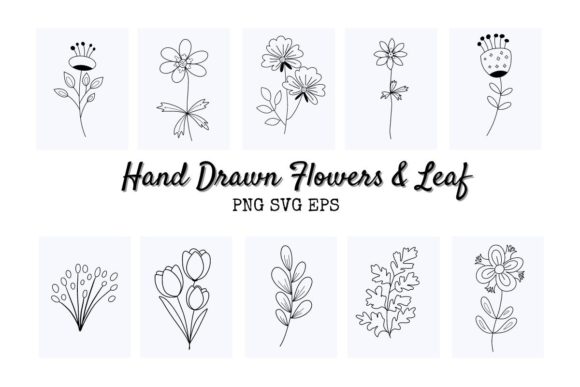 Art Botanical Illustration Set of Décor