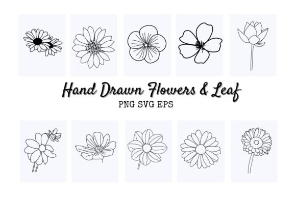 Beauty Flora Bundle SVG Drawing Art Easy Graphics and Illustrations