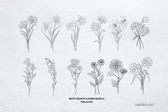 Birth Month Flower Bundle, Hand Drawn Graphics and Illustrations