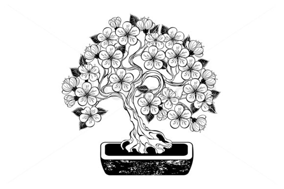 Contour Bonsai Cherry Graphics and Illustrations Review