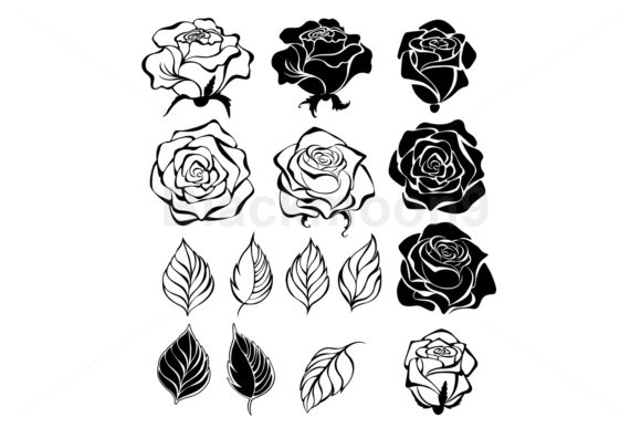 Contour Rose Buds and Leaves Graphics and Illustrations Review