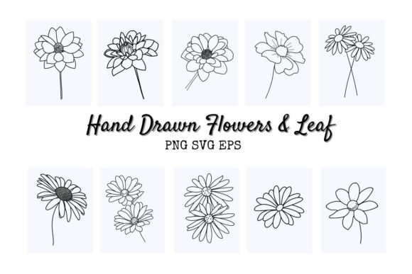 Daisy Flower SVG Bundle Review