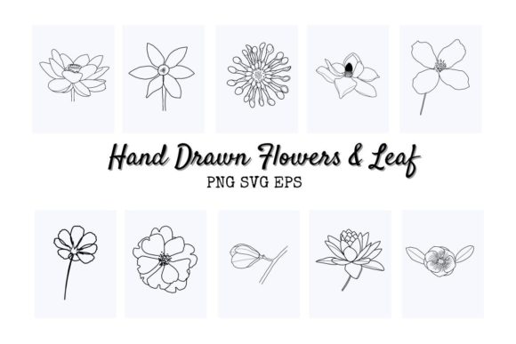Doodle Botanical Hand Drawn Graphics and Illustrations Review