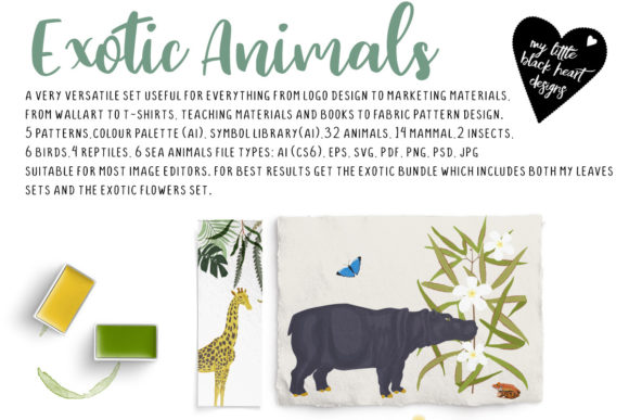 Exotic Bundle Graphics and Illustrations Review