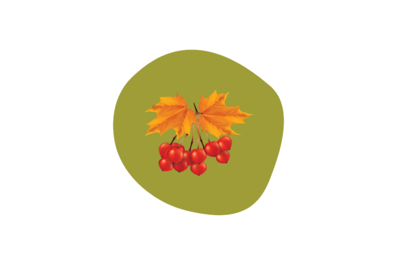 Fall - Autumn Leaf Orange Svg Graphics and Illustrations