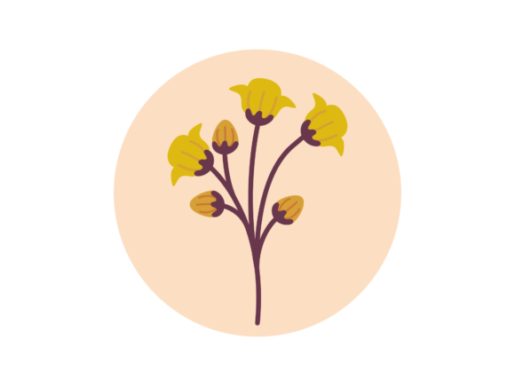 Flower Aesthetic Yellow Graphics and Illustrations Review
