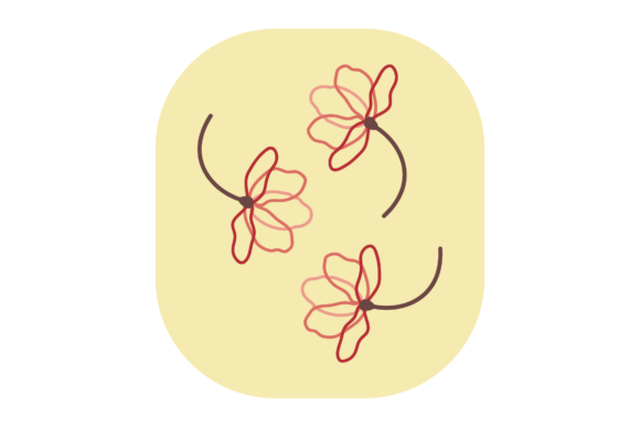 Flower Lines Graphics and Illustrations Review