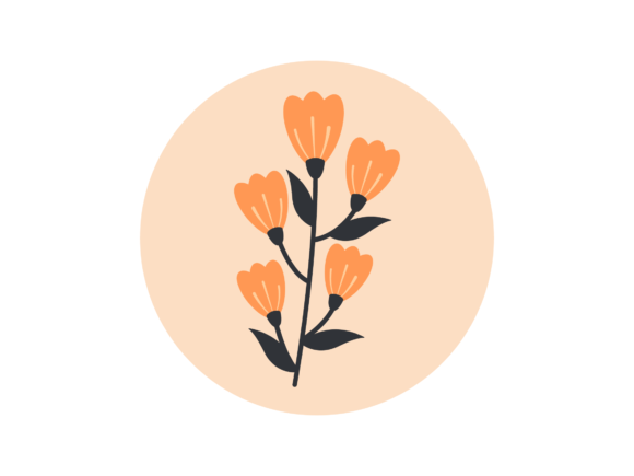 Flower Peachy Orange Graphics and Illustrations Review