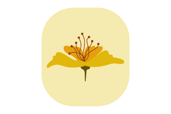 Flower Yellow Beauty Graphics and Illustrations Review