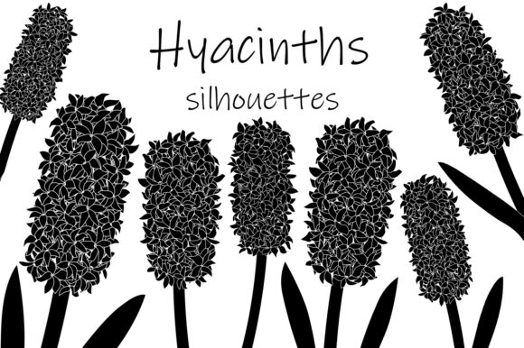 Hyacinths Silhouettes Graphics and Illustrations Review