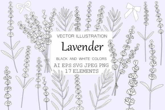 Lavender Graphics. Lavender Coloring SVG