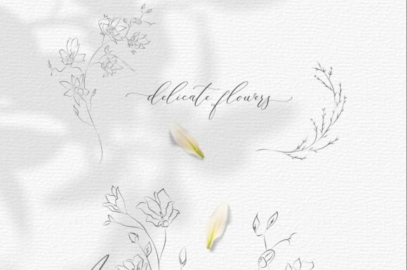 Line Drawing Botanical Wreaths. Feminine Graphics and Illustrations