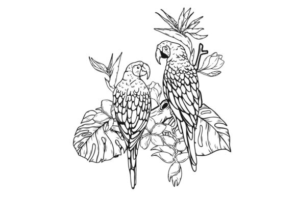 Parrot Macaw Vector, Clipart & Graphics