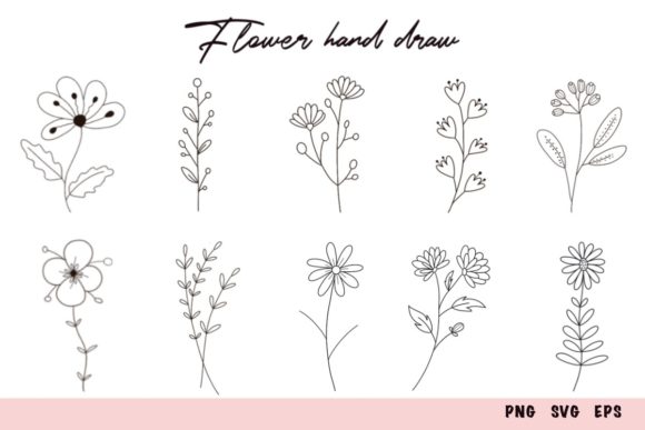 Wildflowers Botanicals Hand Drawn Set Graphics and Illustrations
